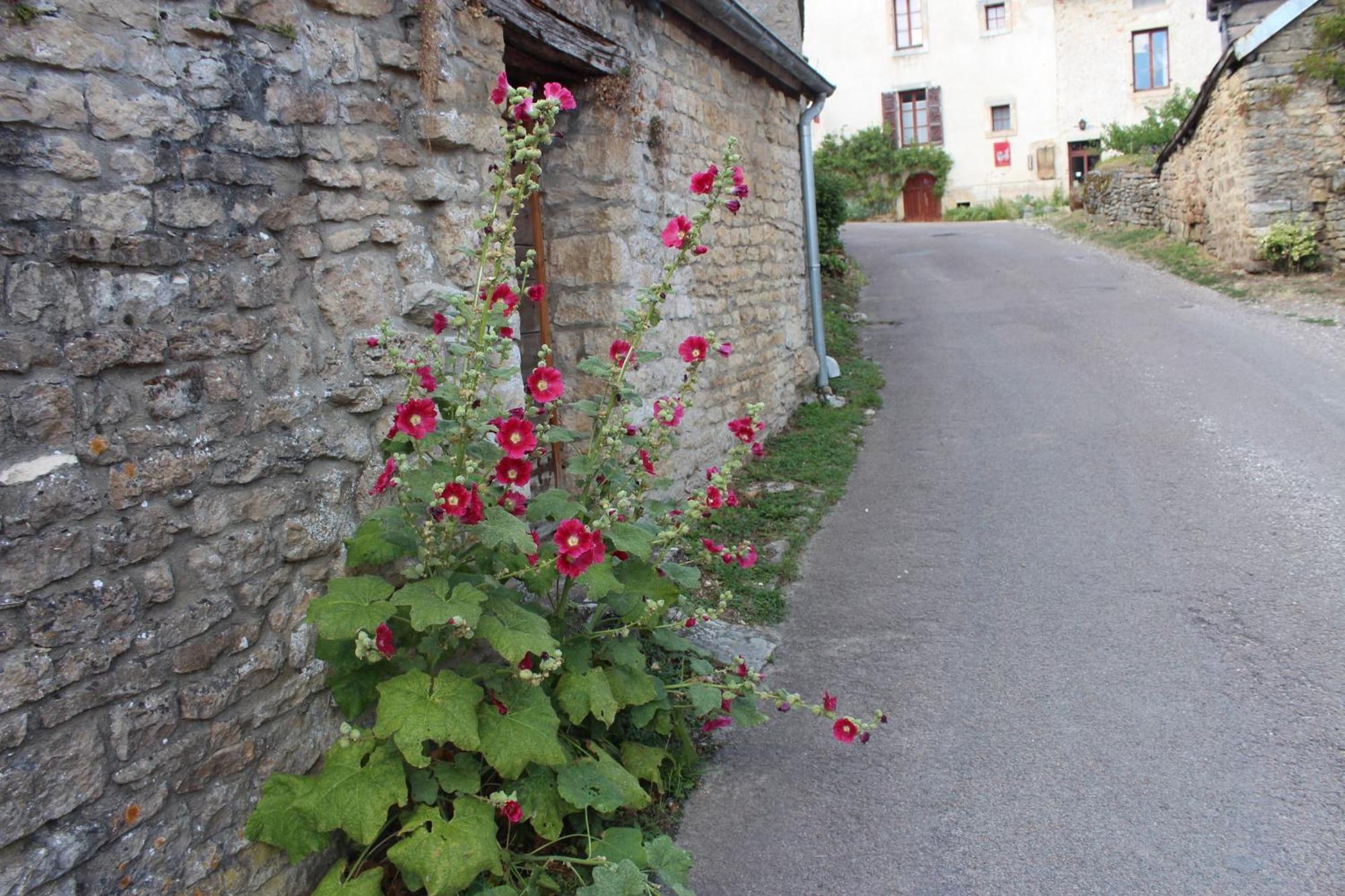 Chateauneuf Suites Esterno foto