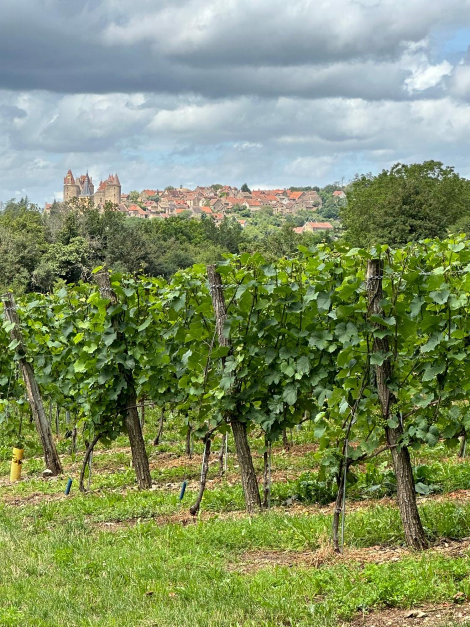 Chateauneuf Suites Esterno foto