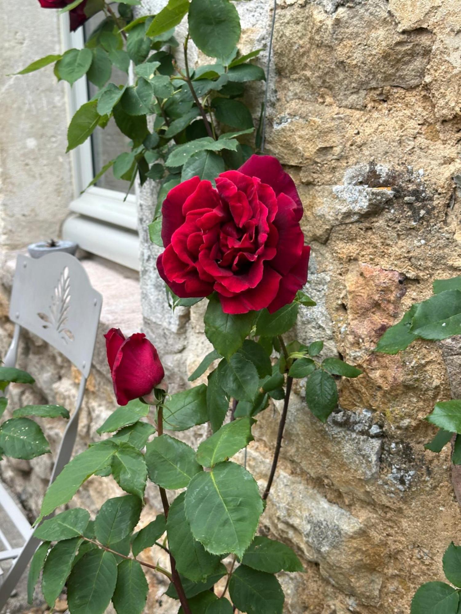 Chateauneuf Suites Esterno foto